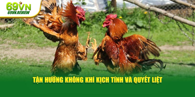 Tận hưởng không khí kịch tính và quyết liệt  